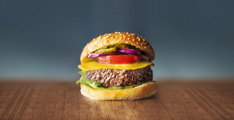 a hamburger